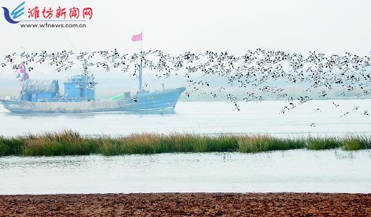 潍坊 碧水清流活水来绘就生态新画卷