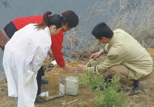 渭河流域水污染防治巩固提高三年行动落实有方