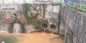 东莞水污染治理现场指挥部组织媒体暗访城市建成区黑臭水体整治情况